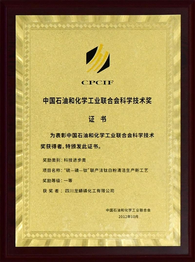 中国石油化工联合会一等奖